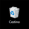 cestino