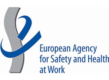 L’Agenzia Europea per la Salute e la Sicurezza sul Lavoro (EU-OSHA) ha presentato un nuovo servizio web per i lavoratori in età avanzata