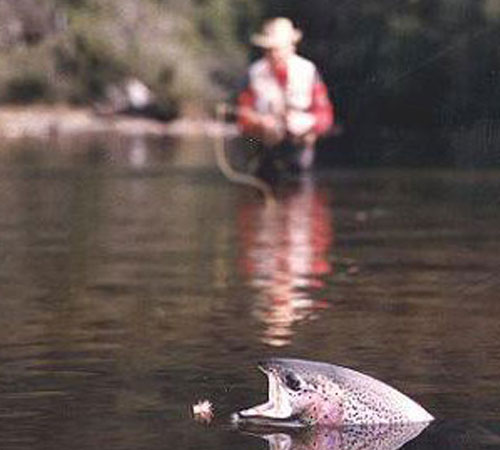 gara pesca trento