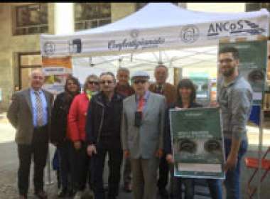 Svolta a Novara la giornata dell’Alzheimer