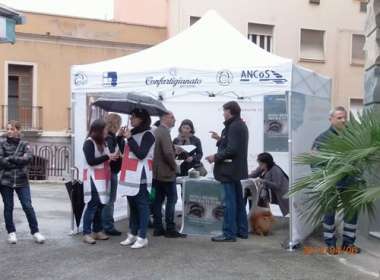 Giornata Alzheimer 2013 Cagliari