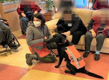 Covid test a Cagliari: il Cane Cloe riconosce anziani positivi nella casa di riposo