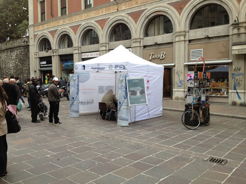 Como e Cantù - Sesta Giornata Nazionale Alzheimer 2013