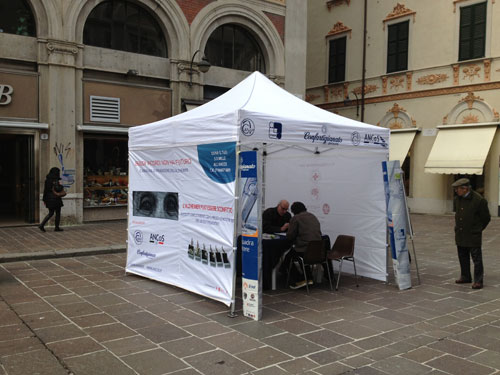 Como e Cantù - Sesta Giornata Nazionale Alzheimer 2013