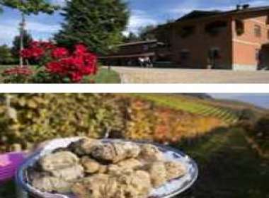 Gita ad Alba il tartufo, nocciole e i suoi vini
