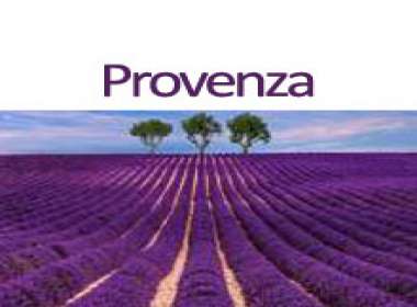 Provenza la fioritura della lavanda