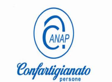 Pubblicata la relazione Anap Vicenza anno 2016