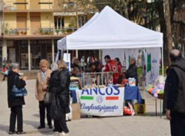 Svolta ad Arezzo l'ottava edizione della giornata sull'Alzheimer