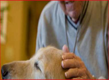 La funzione terapeutica degli animali