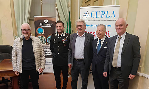 anap cremona incontro cupla sicurezza