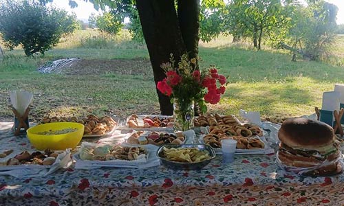 buffet benessere convegno cesena
