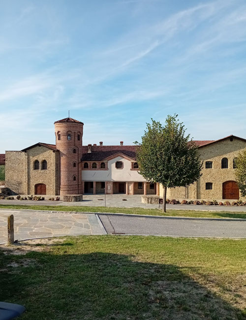 cantine vinicole