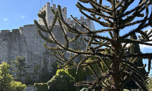 castello duino