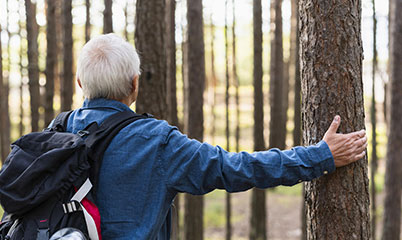 forest bathing benefici contro stress e depressione