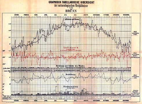 grafico mendel