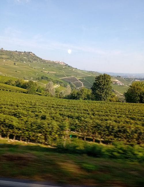 langhe