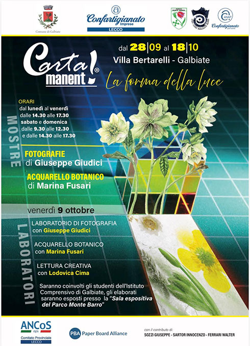 locandina la forza della luce