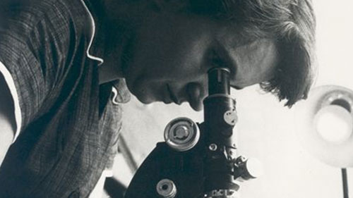 rosalind franklin dna scoperta scienziata