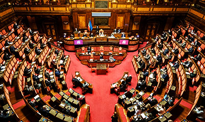 disabilità in costituzione