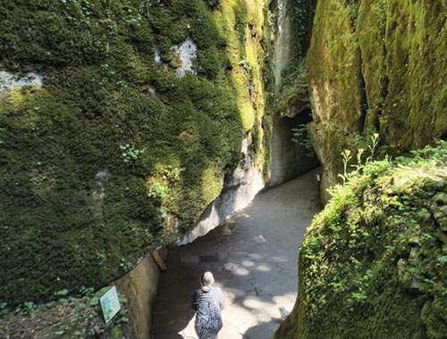 visita guidata santuario verna